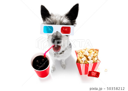 dog to the movies 50358212