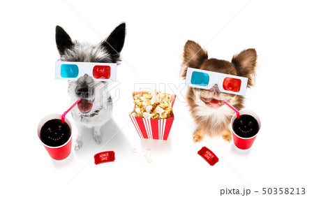 couple of dogs to the movies 50358213