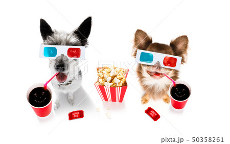 couple of dogs to the movies 50358261