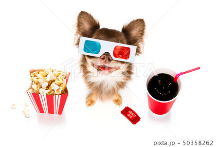 dog to the movies dog to the movies 50358262