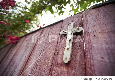 Rose bush on wooden gate with a cross 50358549