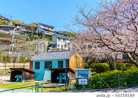 小菅修船場跡の桜 世界文化遺産 【長崎県長崎市】 小菅修船場跡の桜 世界文化遺産 【長崎県長崎市】 50358589