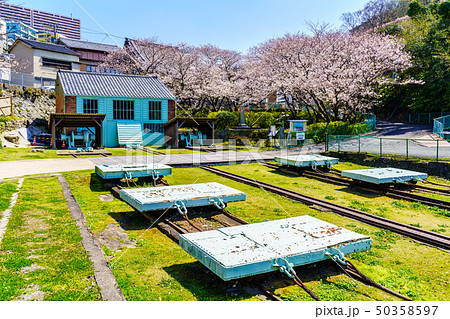 小菅修船場跡の桜 世界文化遺産 【長崎県長崎市】 小菅修船場跡の桜 世界文化遺産 【長崎県長崎市】 50358597