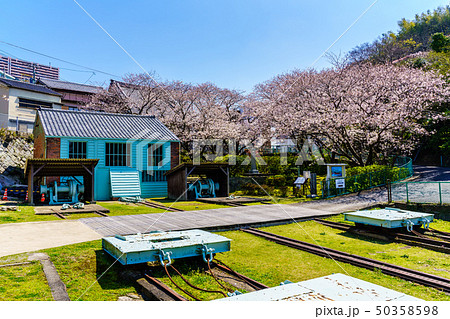 小菅修船場跡の桜 世界文化遺産 【長崎県長崎市】 小菅修船場跡の桜 世界文化遺産 【長崎県長崎市】 50358598