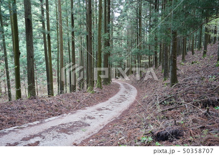 群馬県　桐生市黒保根町　ぐんま百名山の栗生山登山口にある栗生神社への参道 50358707