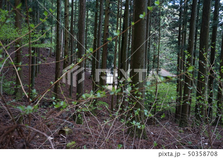 群馬県 桐生市黒保根町 ぐんま百名山の栗生山登山口にある栗生神社 群馬県 桐生市黒保根町 ぐんま百名山の栗生山登山口にある栗生神社 50358708