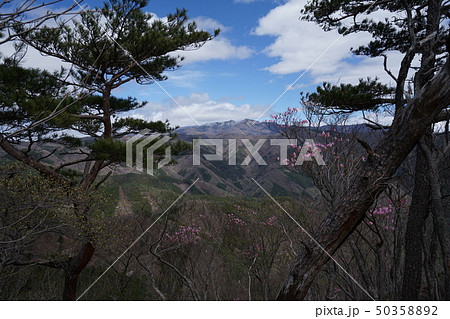群馬県 桐生市黒保根町 ぐんま百名山の栗生山の山頂から見る袈裟丸山 群馬県 桐生市黒保根町 ぐんま百名山の栗生山の山頂から見る袈裟丸山 50358892