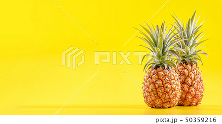 パイナップル パイン パインアップル 50359216