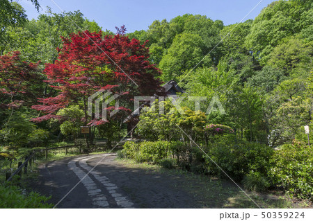 新緑の薬師池公園　旧荻野家 50359224