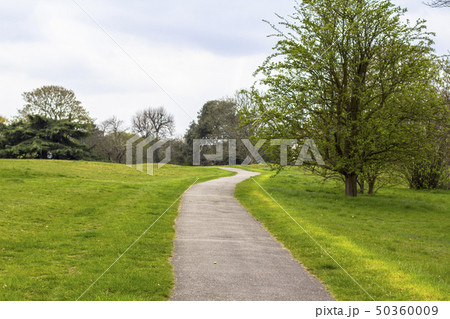 The trail in Greenwich Park, Path among green meadows and trees. 50360009