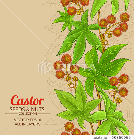 castor vector background castor vector background 50360069