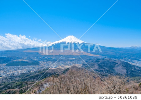 杓子山山頂から望む富士山 杓子山山頂から望む富士山 50361039