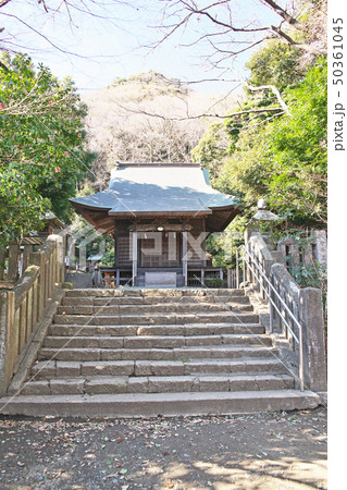大磯町高来神社 境内 大磯町高来神社 境内 50361045