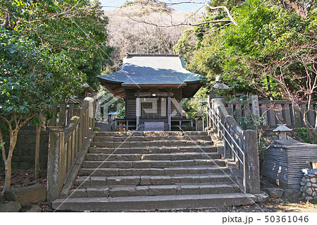 大磯町高来神社 境内 大磯町高来神社 境内 50361046