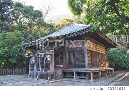 大磯町高来神社　境内 50361051
