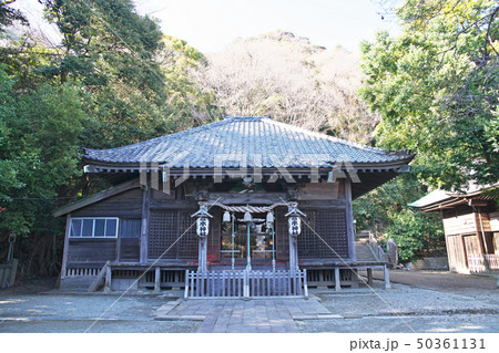 大磯町高来神社　境内 50361131
