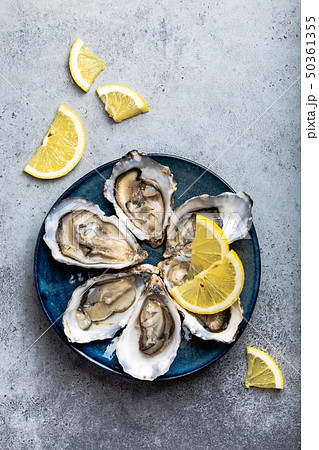 Fresh opened oysters Fresh opened oysters 50361355