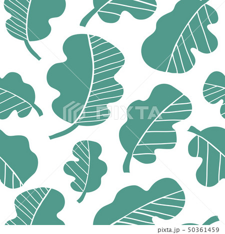 Lettuce vector seamless pattern 50361459
