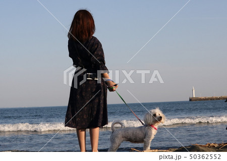 白い犬 女の子の写真素材