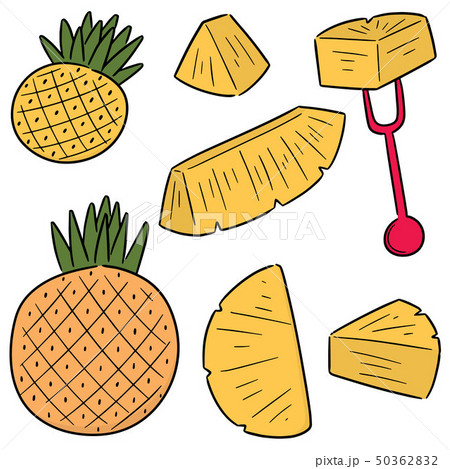 vector set of pineapple vector set of pineapple 50362832