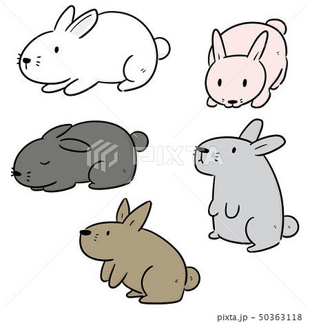 vector set of rabbits 50363118