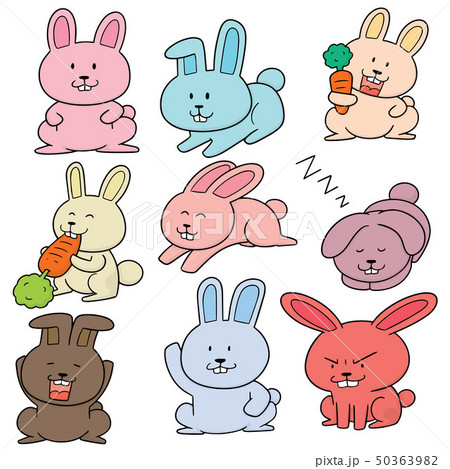 vector set of rabbit 50363982