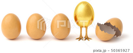 Row of chicken eggs. One golden egg with golden chicken feet and one Broken Egg Shell. isolated on a 50365927