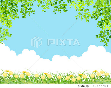 新緑（若葉） 50366703