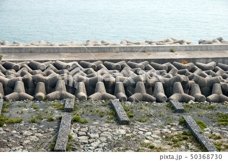 防波堤 巨済市 海 50368730