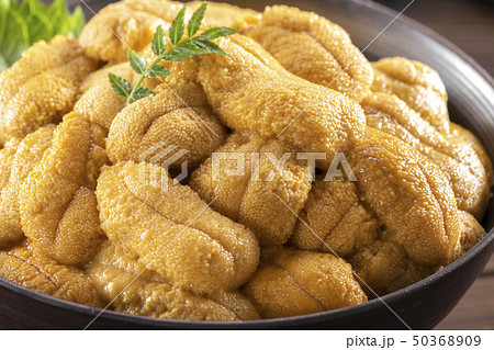 小鉢に盛った美味しい雲丹 50368909