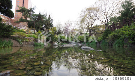 小川 春 反射 50369105