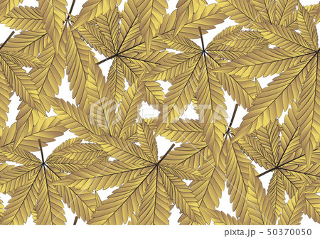 Marijauna or Cannabis leaf gold, Leaves seamless. Marijauna or Cannabis leaf gold, Leaves seamless. 50370050