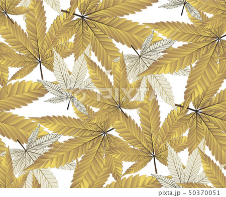Marijauna or Cannabis leaf gold, Leaves seamless. Marijauna or Cannabis leaf gold, Leaves seamless. 50370051