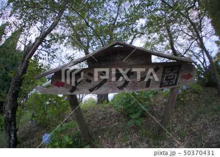 豊後大野市三重町　大辻公園 50370431