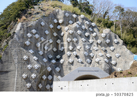 アースアンカー 50370825