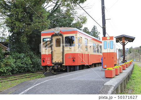 春の小湊鉄道&いすみ鉄道 上総中野(かずさなかの)駅 春の小湊鉄道&いすみ鉄道 上総中野(かずさなかの)駅 50371627