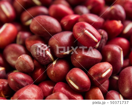 小豆 赤 豆 50371737