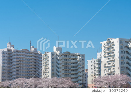 中層階団地 中層階団地 50372249