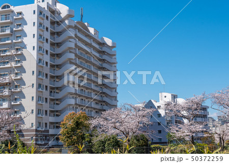 中層階団地 50372259