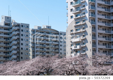 中層階団地 中層階団地 50372269