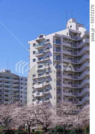 中層階団地 50372270