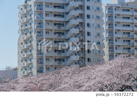 中層階団地 中層階団地 50372272