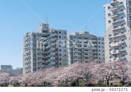 中層階団地 中層階団地 50372273