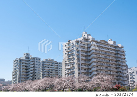 中層階団地 中層階団地 50372274