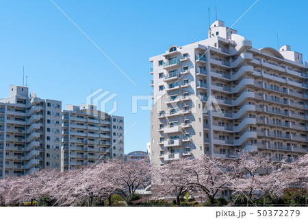 中層階団地 中層階団地 50372279