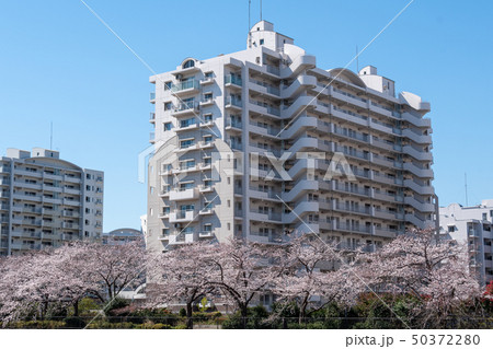 中層階団地 中層階団地 50372280