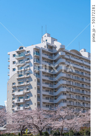 中層階団地 中層階団地 50372281