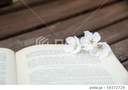春 読書 休憩 50372729