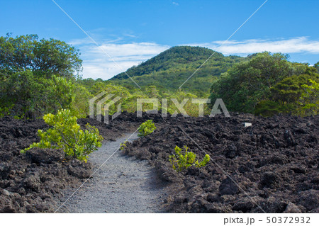 ランギトト島　山道 50372932