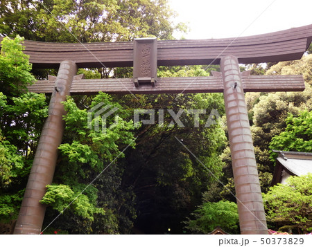 高千穂神社の鳥居 高千穂神社の鳥居 50373829